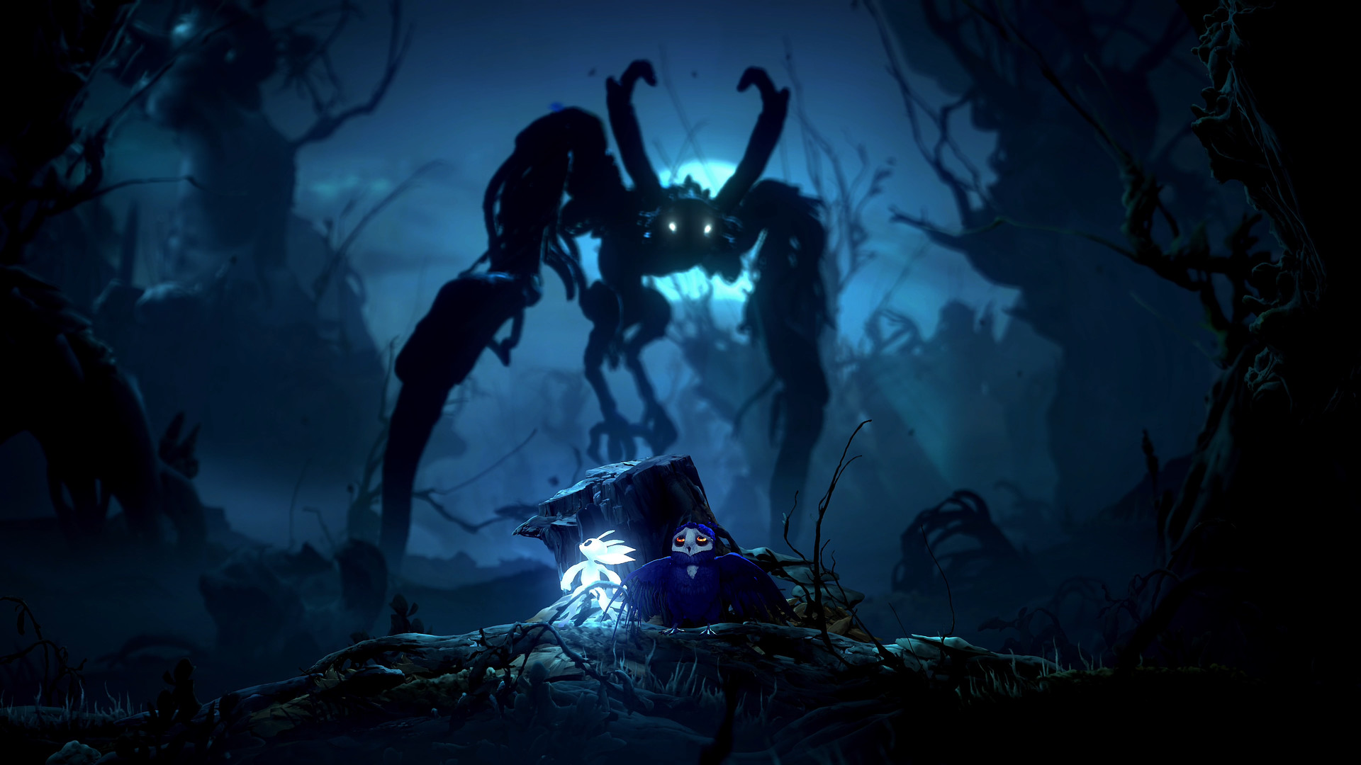 Xbox prý na Gamescomu oznámí něco překvapivého