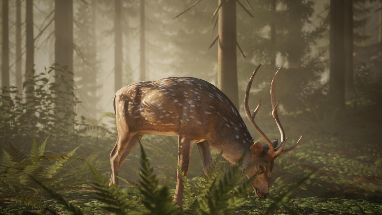 Rozhovor: Český středověký survival Middle Ages: Peasants & Knights nabídne multiplayer až pro 60 hráčů