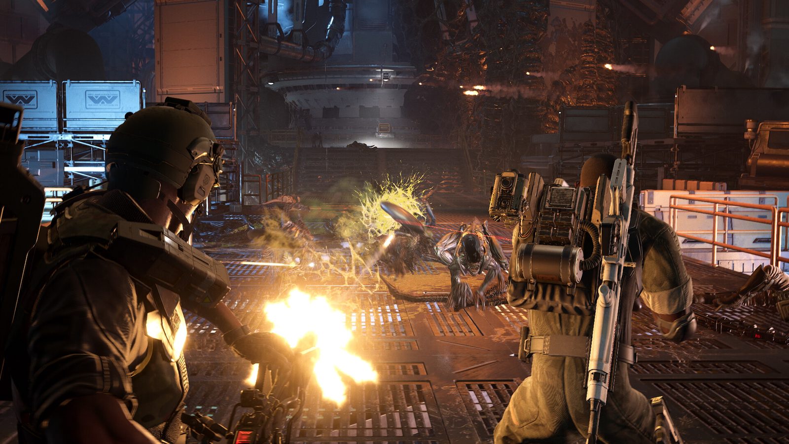 Fireteam Elite 2