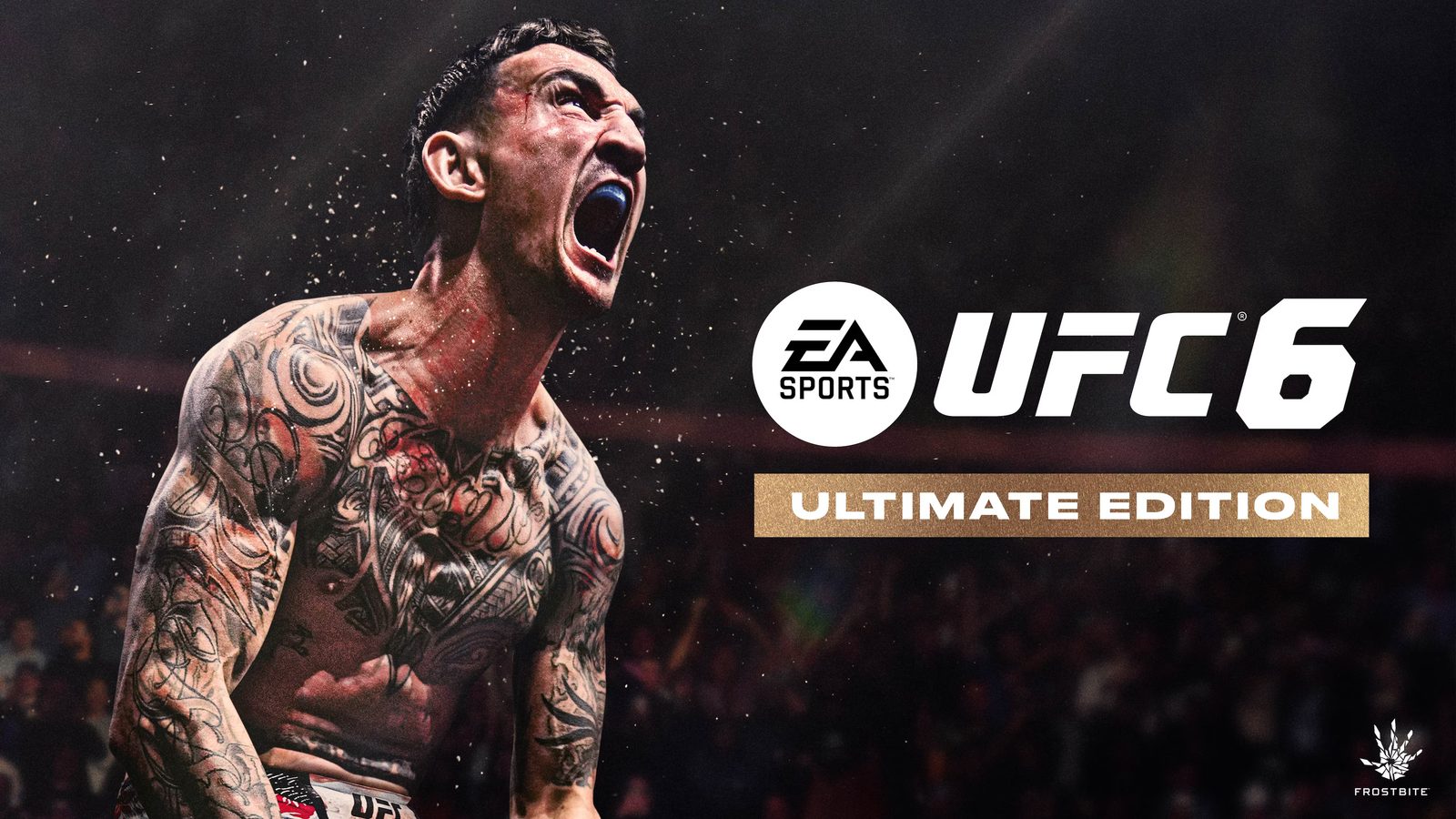 EA Sports oficiálně oznámilo UFC 6