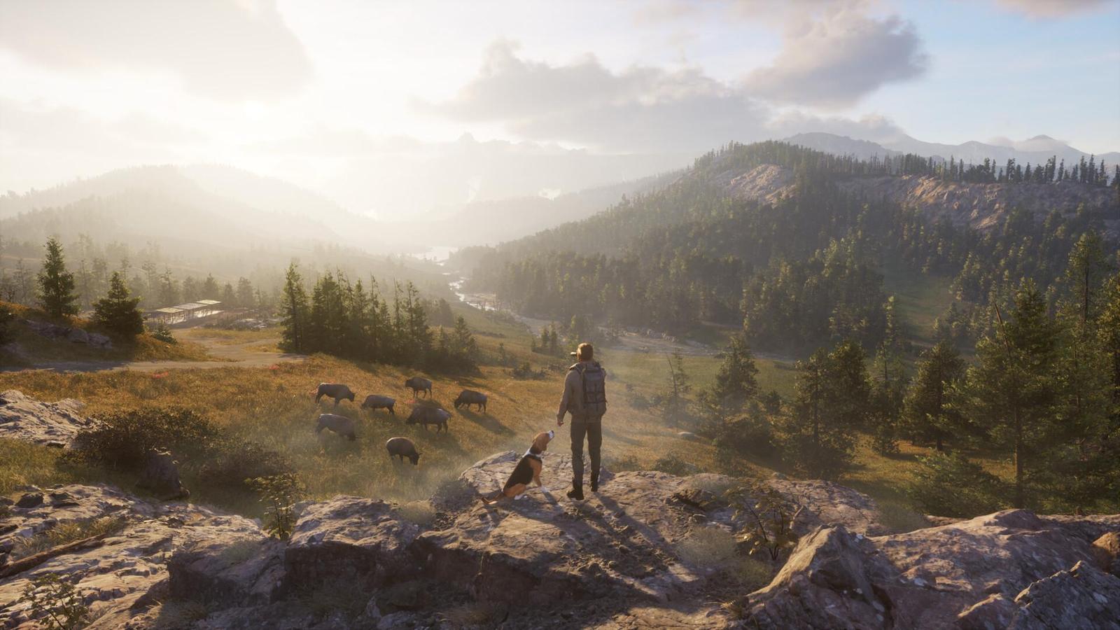 Slovenské studio oznámilo lovecký simulátor Next Hunting Adventure