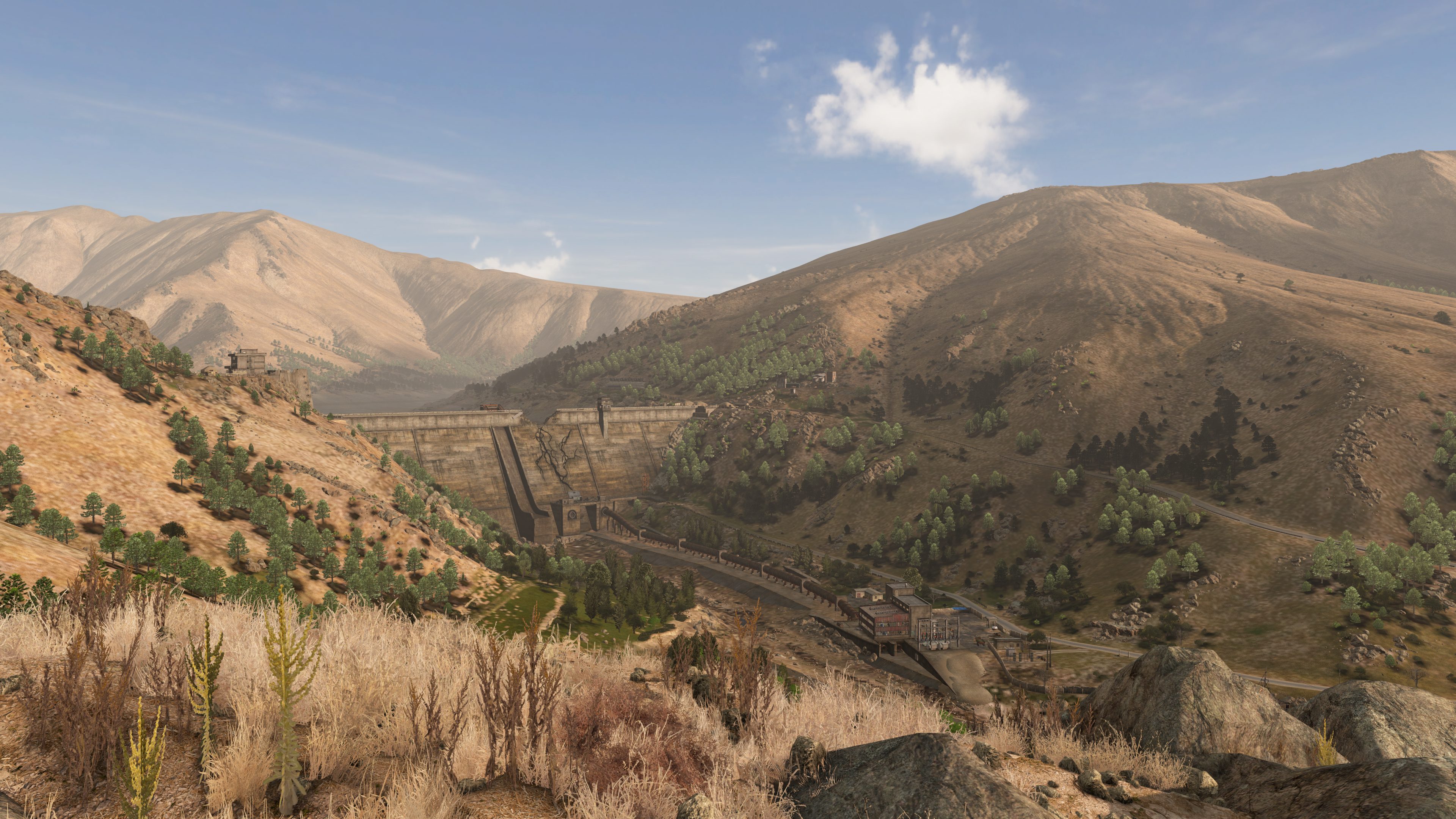 DAYZ