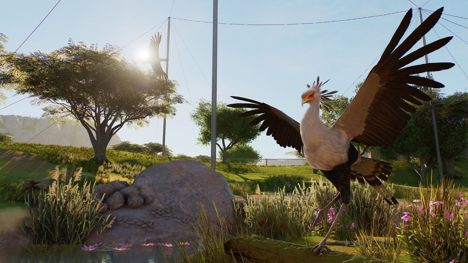 Planet Zoo 2 rozšíří zoologické zahrady o mořský svět a ptačí voliéry