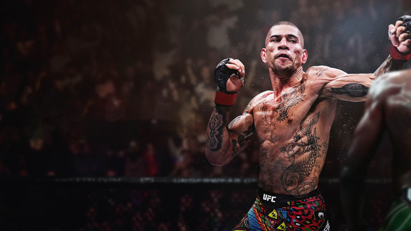 EA Sports oficiálně oznámilo UFC 6