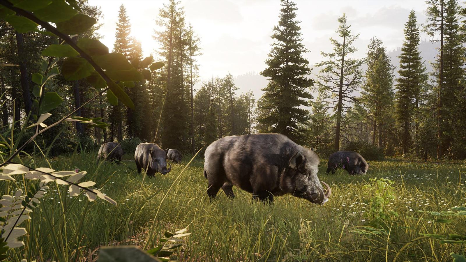 Way of the Hunter 2 nás vezme do krásné kanadské přírody