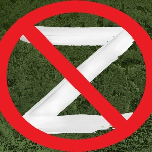 Ρίζα Πρόστε